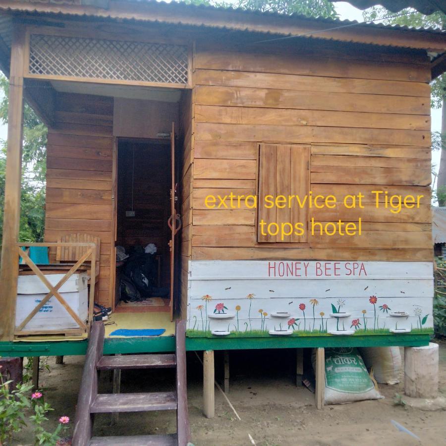 Hotel Tiger Tops Саураха Екстер'єр фото